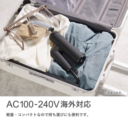 Angelique(アンジェリーク) プラズマイオンヘアドライヤー MXDR-800A